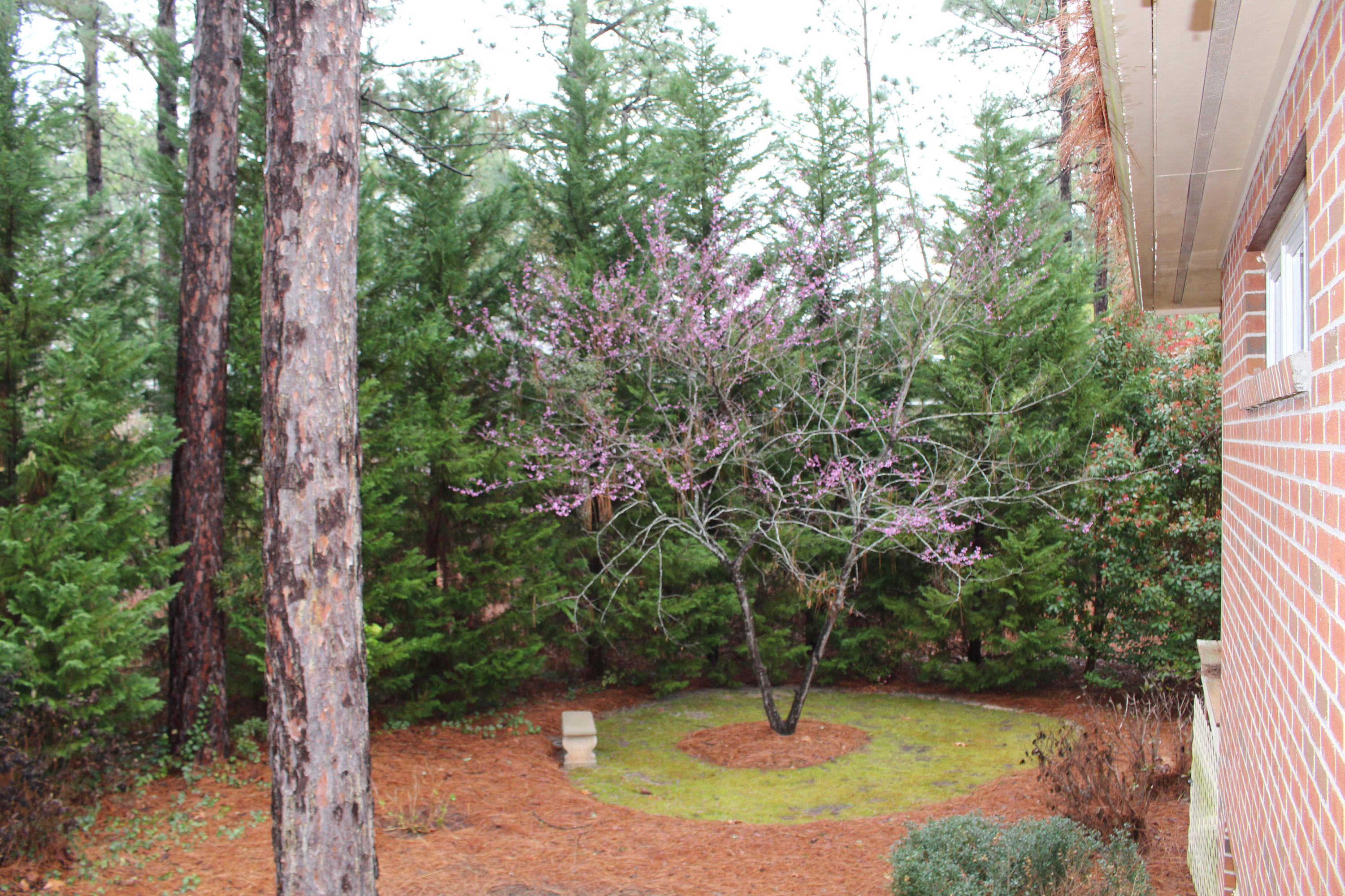 35 McNish Road Southern Pines, NC 28387 - Photo 23 of 28 Back Yard