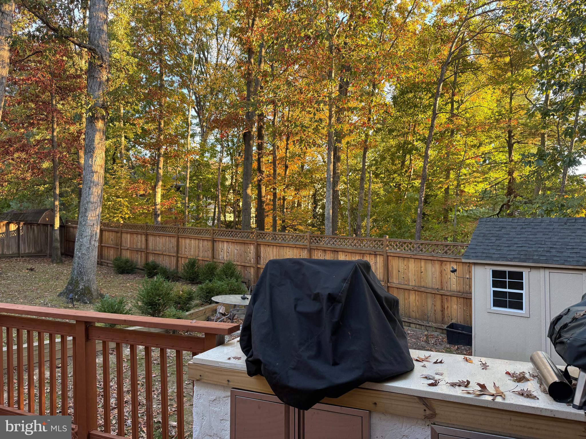 3869 Appaloosa Drive Woodbridge, VA 22192 - Photo 16 of 16 a view of backyard with outdoor seating and trees