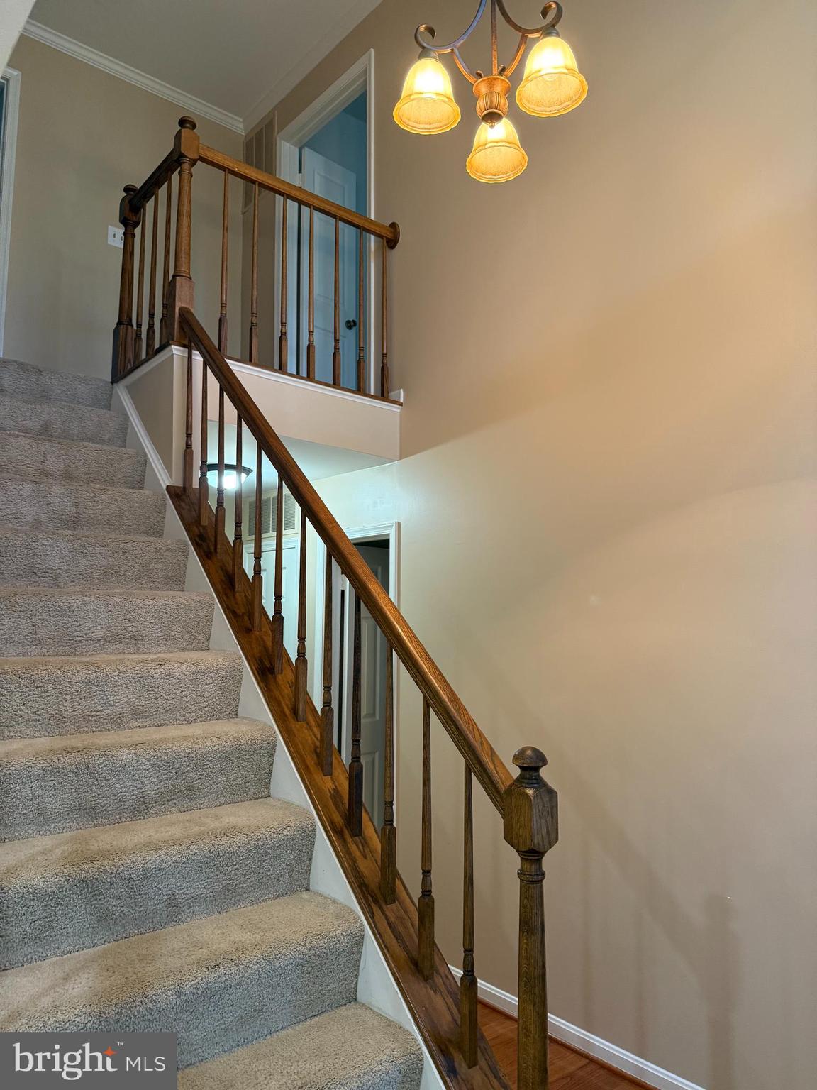 3869 Appaloosa Drive Woodbridge, VA 22192 - Photo 6 of 16 a view of staircase with wooden floor and staircase