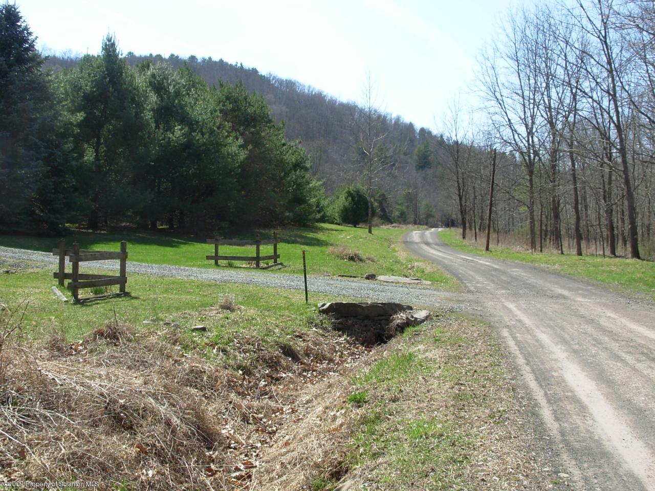Ollie's Road Sugar Run, PA 18846 - Photo 3 of 21 Gallery Image 3