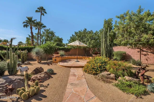 a view of a backyard