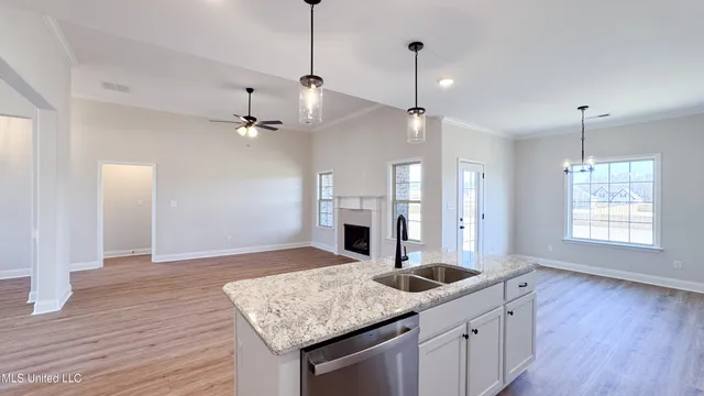 $423,900 | 728 Lucas Lane, Hernando, MS 38632