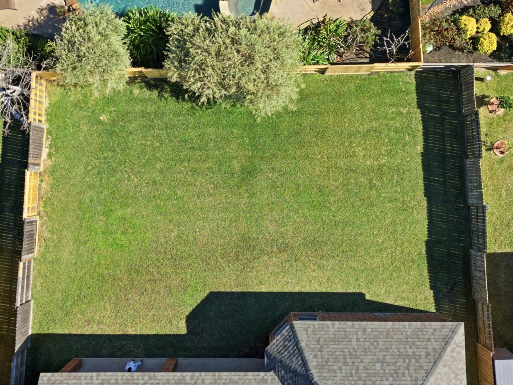 10918 Menaggio Court Richmond, TX 77406 - Photo 43 of 49 Pool sized backyard