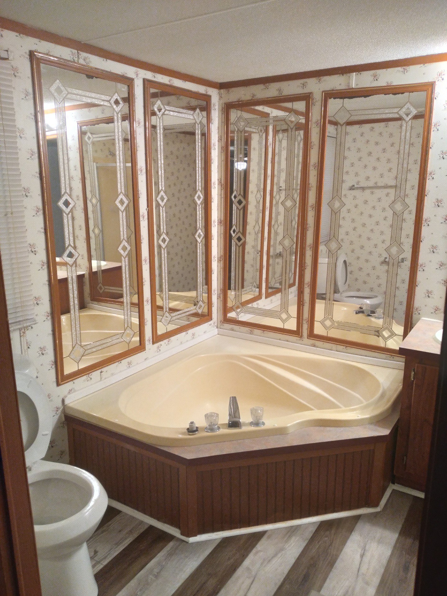 911 Ragsdale Lane Pulaski, TN 38478 - Photo 53 of 66 a bath tub sitting next to a toilet