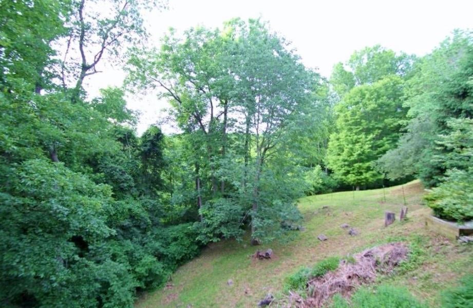 4022 Hoke's Mill Road Ronceverte, WV 24970 - Photo 31 of 48 Gallery Image 31