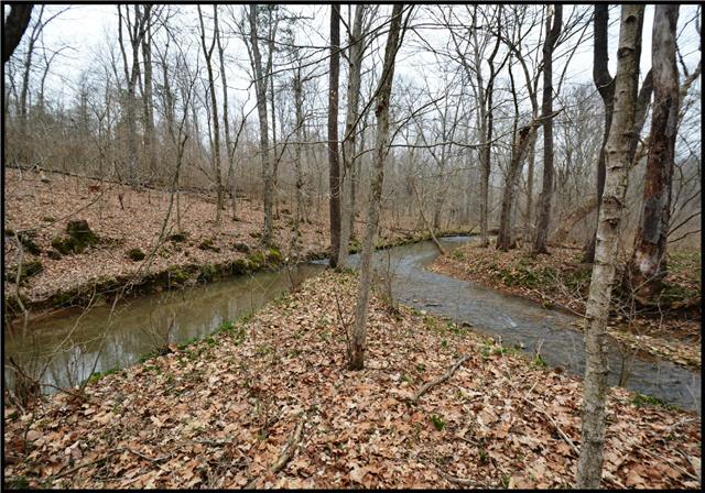 5108 Drake Road Cedar Hill, TN 37032 - Photo 15 of 20 Rear of property features wooded area with two creeks coming together at property border.
