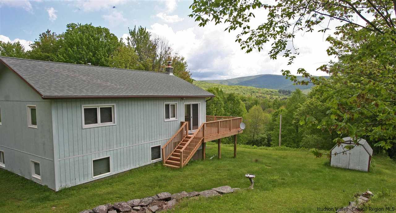 1645 Brush Ridge Road Fleischmanns, NY 12430 - Photo 2 of 24 Photo 2