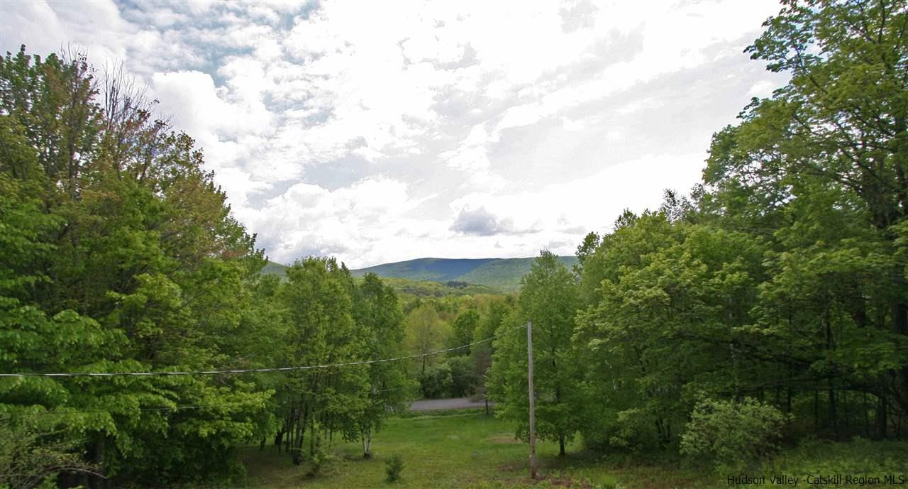 1645 Brush Ridge Road Fleischmanns, NY 12430 - Photo 3 of 24 Photo 3
