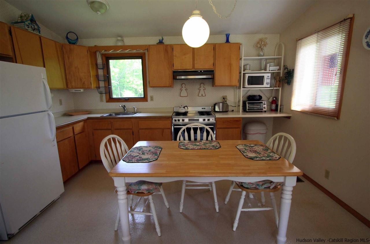 1645 Brush Ridge Road Fleischmanns, NY 12430 - Photo 6 of 24 Photo 6