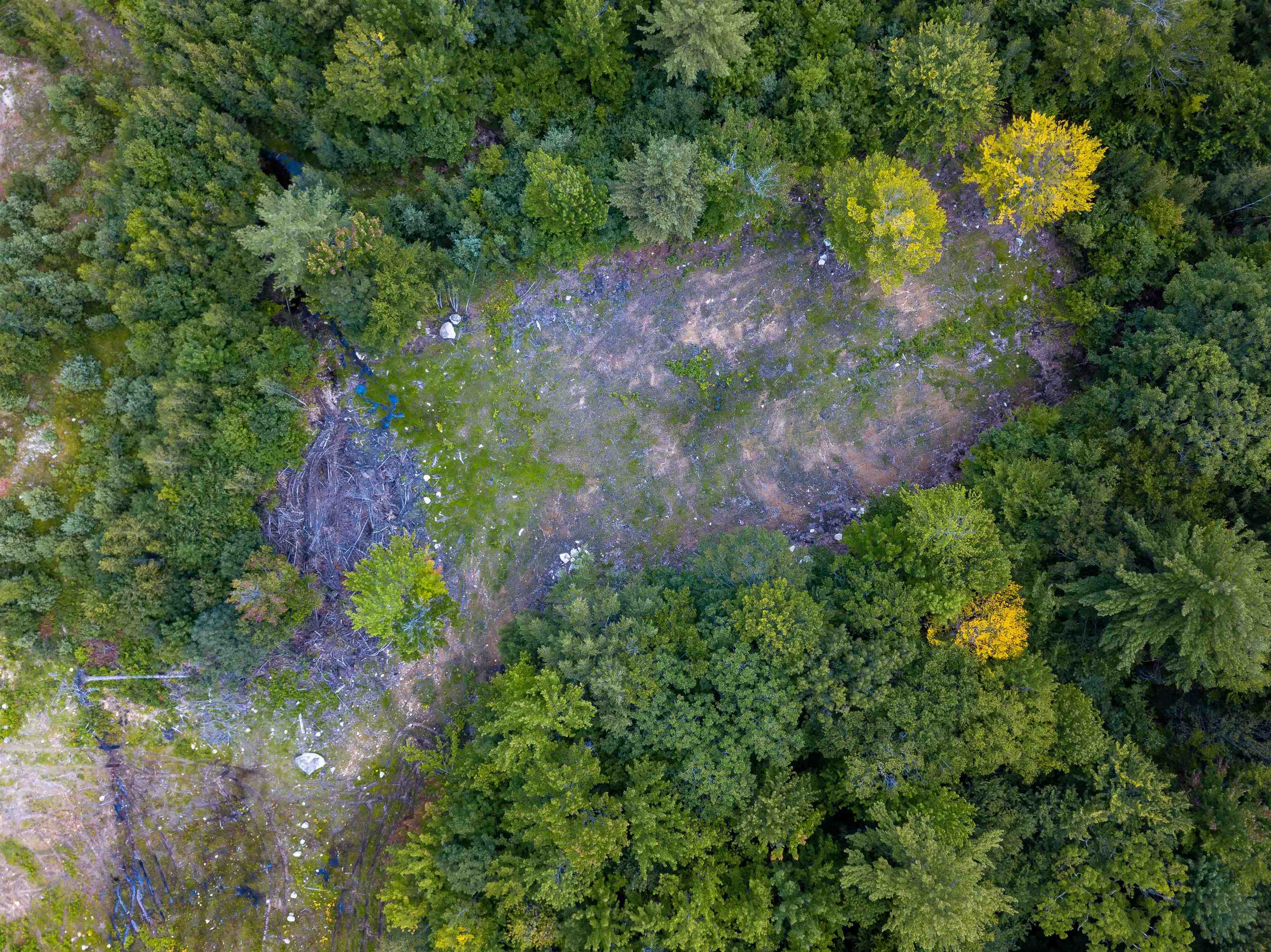 17 Skyline Way Madison, NH 03849 - Photo 2 of 9