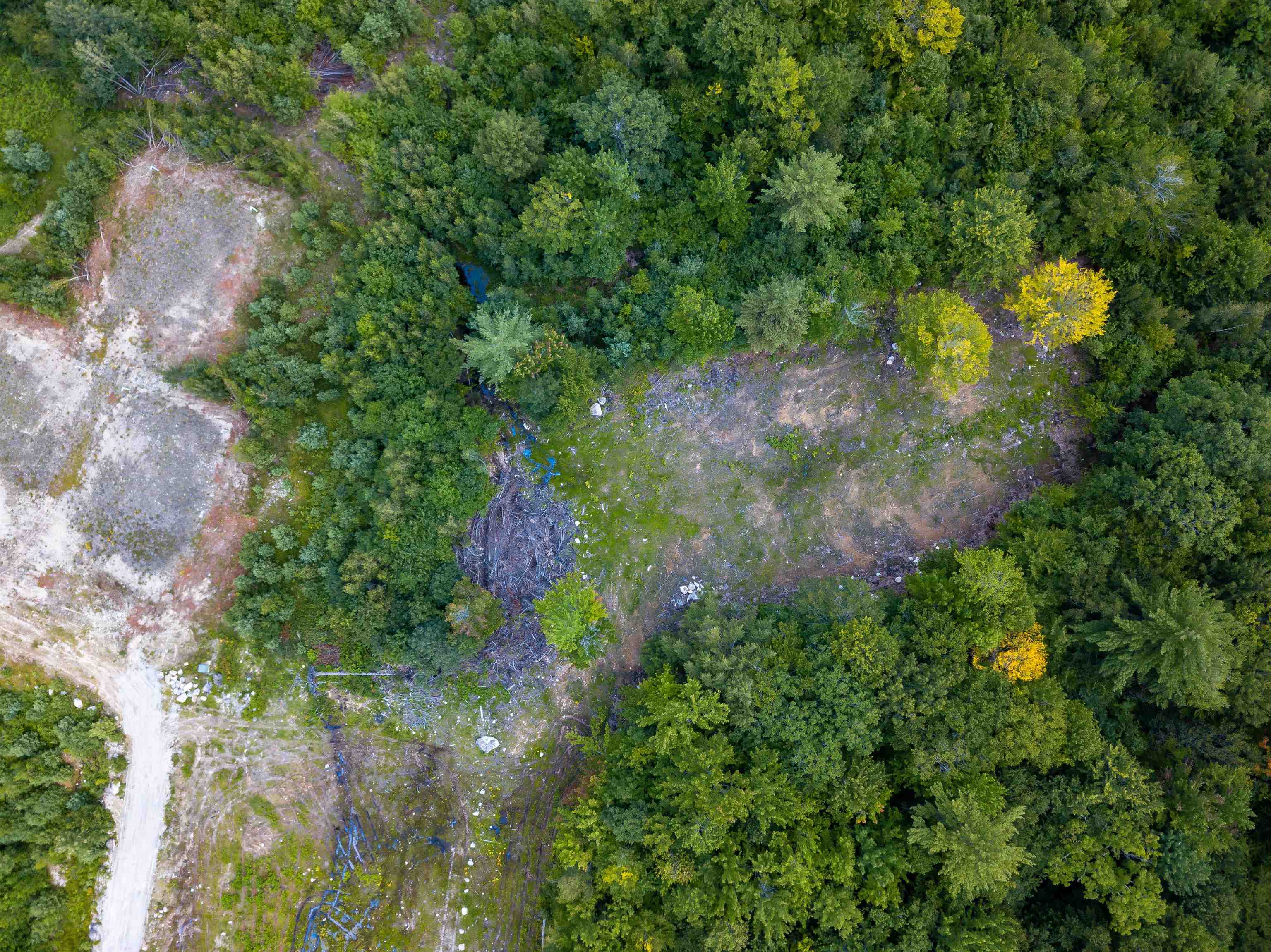 17 Skyline Way Madison, NH 03849 - Photo 3 of 9