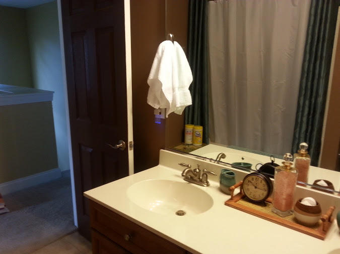9012 Parlor Drive Ladson, SC 29456 - Photo 26 of 34 20150516_101219