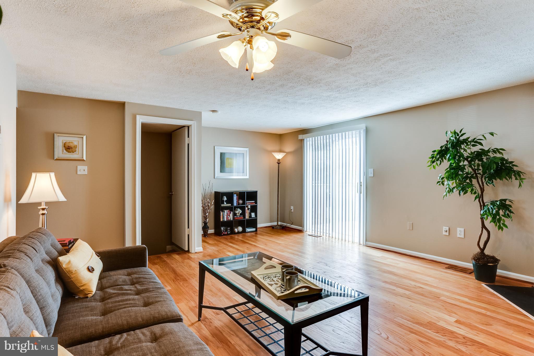 7204 Procopio Circle Columbia, MD 21046 - Photo 10 of 30 a living room with furniture and a potted plant