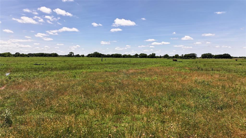 1409 Flagley Road Nocona, TX 76255 - Photo 14 of 21 a view of lake from top of deck