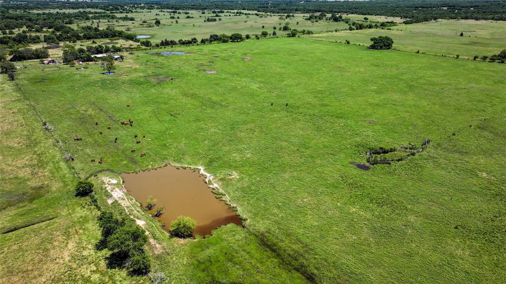 1409 Flagley Road Nocona, TX 76255 - Photo 4 of 21 a view of a garden with a yard