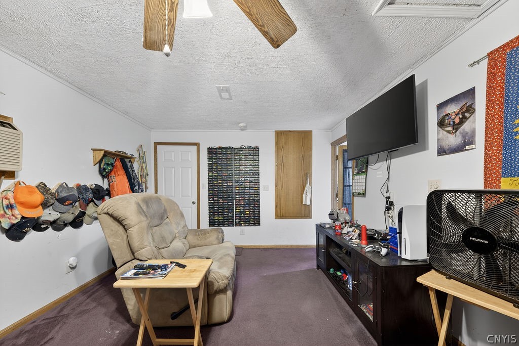 8 Mercer Street Lysander, NY 13027 - Photo 15 of 31