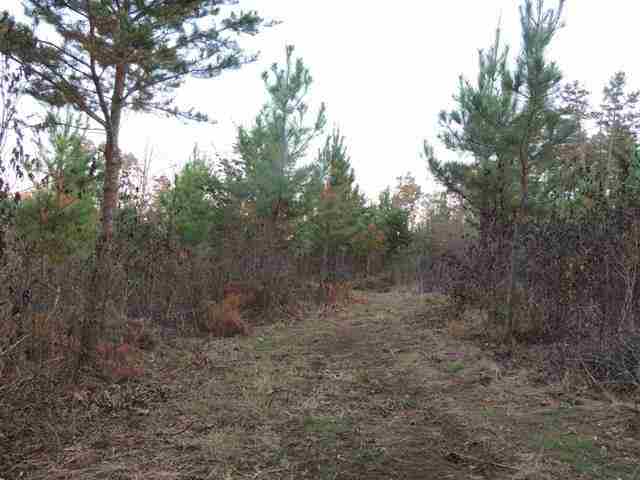 12.3-ac Chauga Road Westminster, SC 29693 - Photo 3 of 9 Gallery Image 3