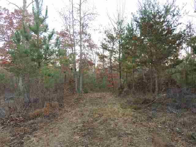 12.3-ac Chauga Road Westminster, SC 29693 - Photo 4 of 9 Gallery Image 4