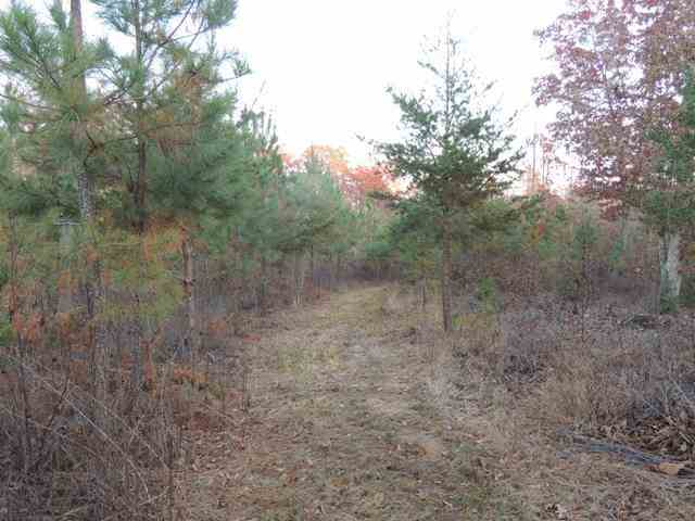 12.3-ac Chauga Road Westminster, SC 29693 - Photo 5 of 9 Gallery Image 5