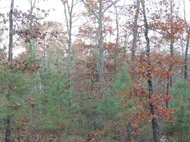 12.3-ac Chauga Road Westminster, SC 29693 - Photo 6 of 9 Gallery Image 6