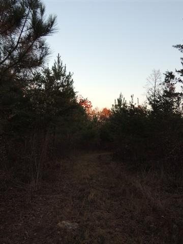12.3-ac Chauga Road Westminster, SC 29693 - Photo 7 of 9 Gallery Image 7
