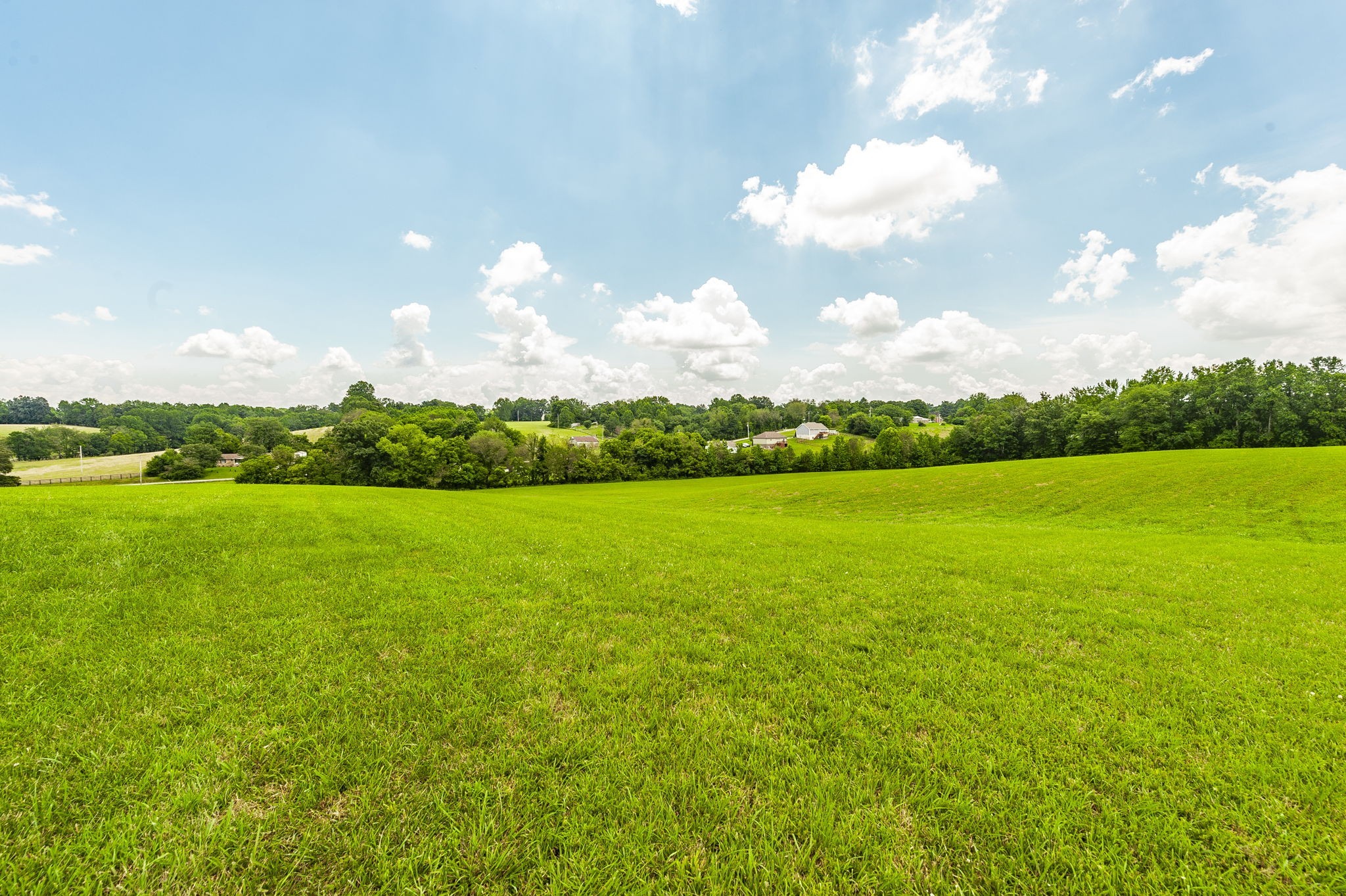 1629 Rock Bridge Road Bethpage, TN 37022 - Photo 35 of 94