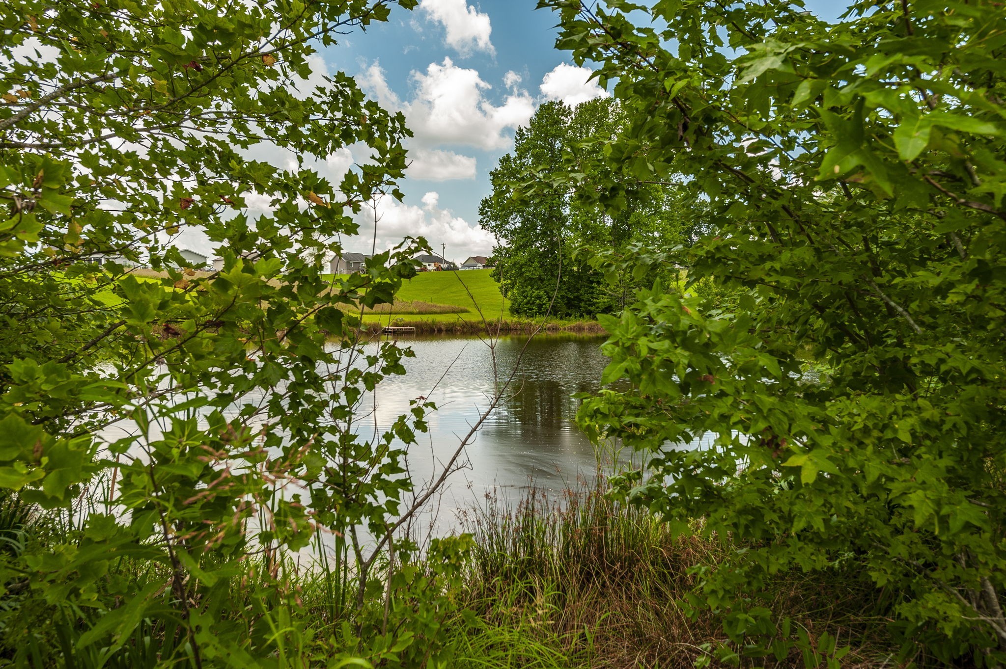 1629 Rock Bridge Road Bethpage, TN 37022 - Photo 39 of 94