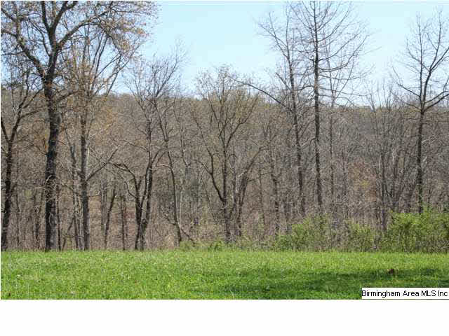 0 Silley Dean Road Northwest, Unit 277 AC Pinson, AL 35126 - Photo 2 of 19