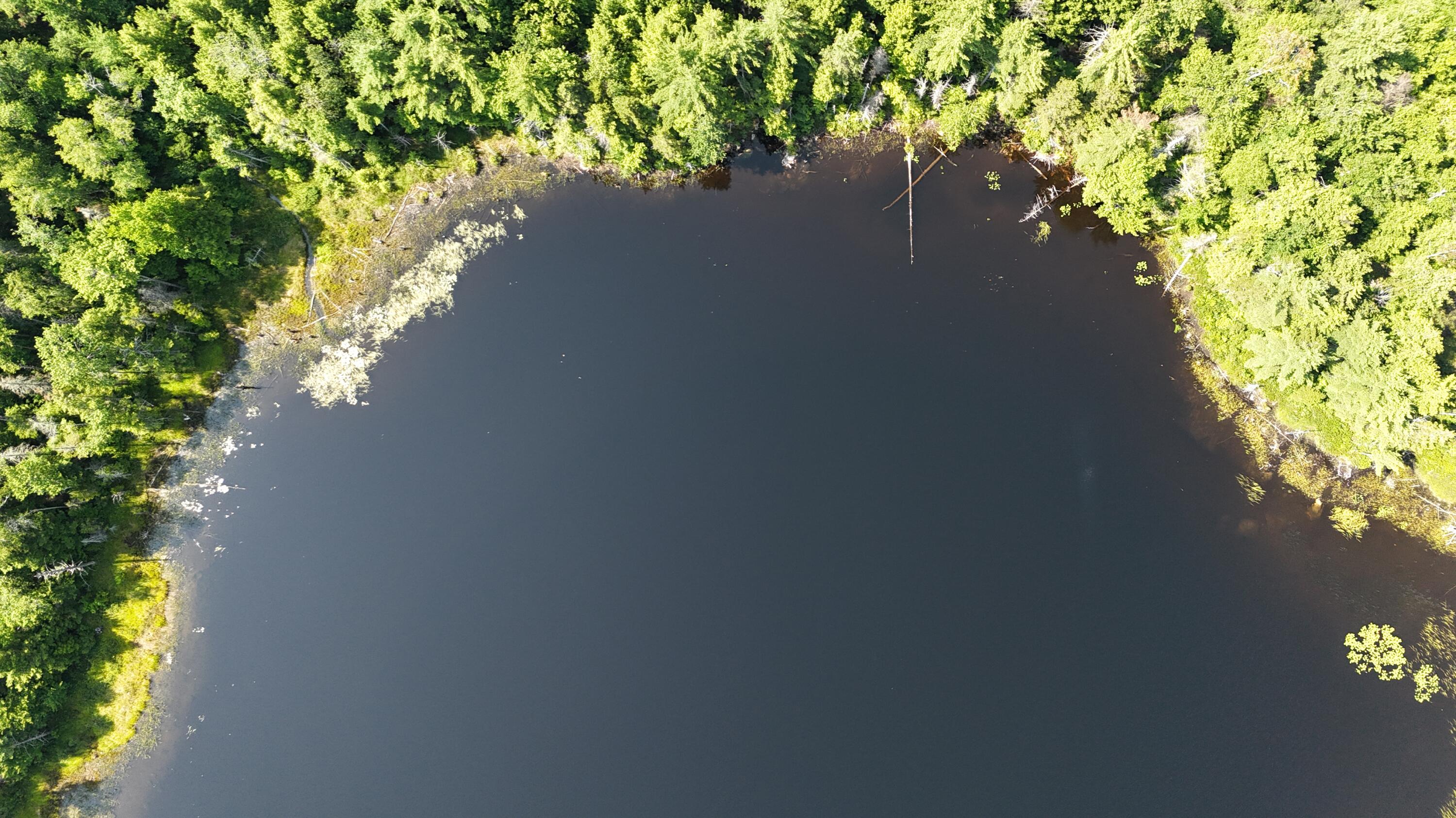 Lot 83-84 Off Jesse Ladd Road Vienna, ME 04360 - Photo 24 of 46 26acresOnDavisPond (9)