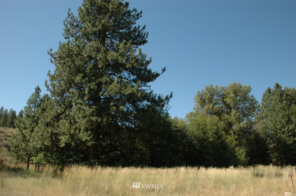 7 Greenwood Road Winthrop, WA 98862 - Photo 1 of 1 Gallery Image 1