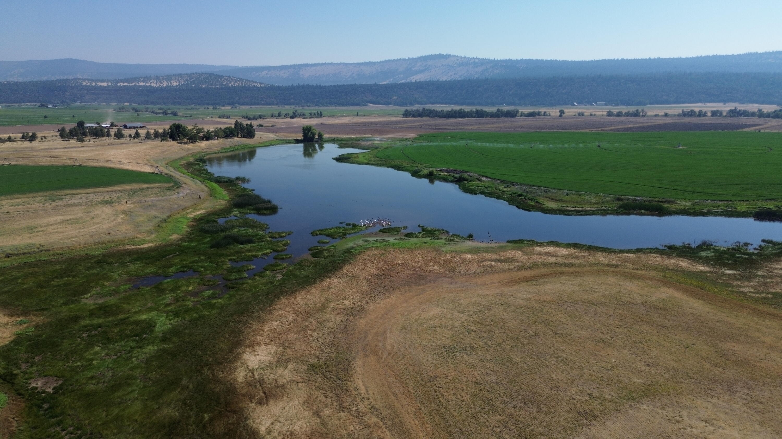 540-090 Little Valley Road McArthur, CA 96056 - Photo 18 of 63 DJI_0500