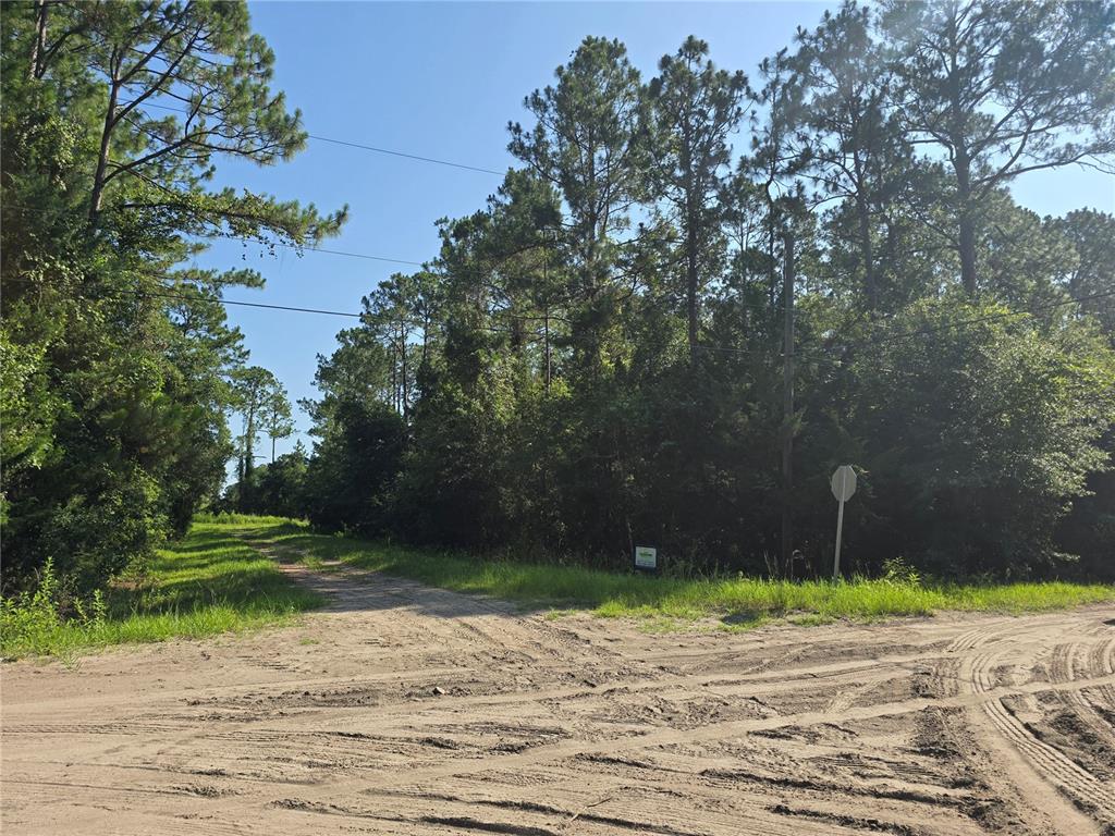 5446 Mango Avenue Bunnell, FL 32110 - Photo 2 of 17