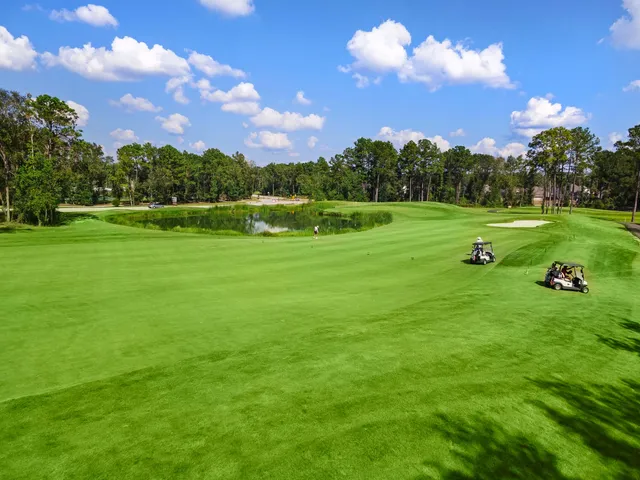 a view of an outdoor space and yard