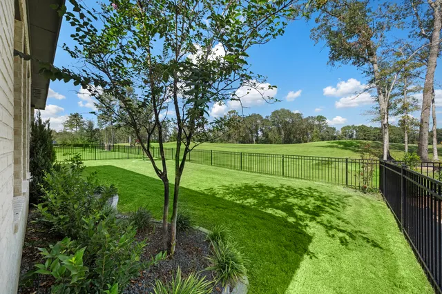a view of a park with large trees