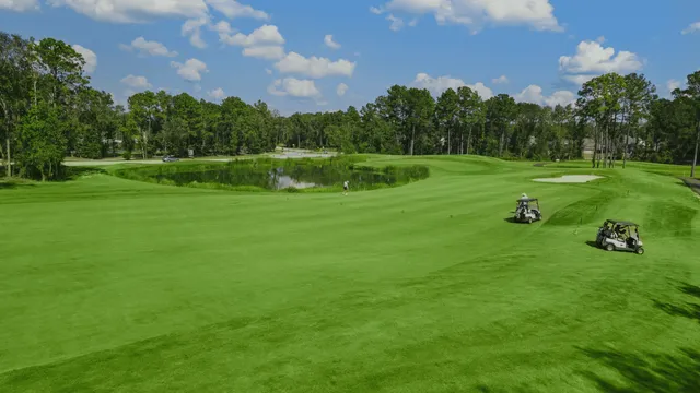 a view of a park with large trees