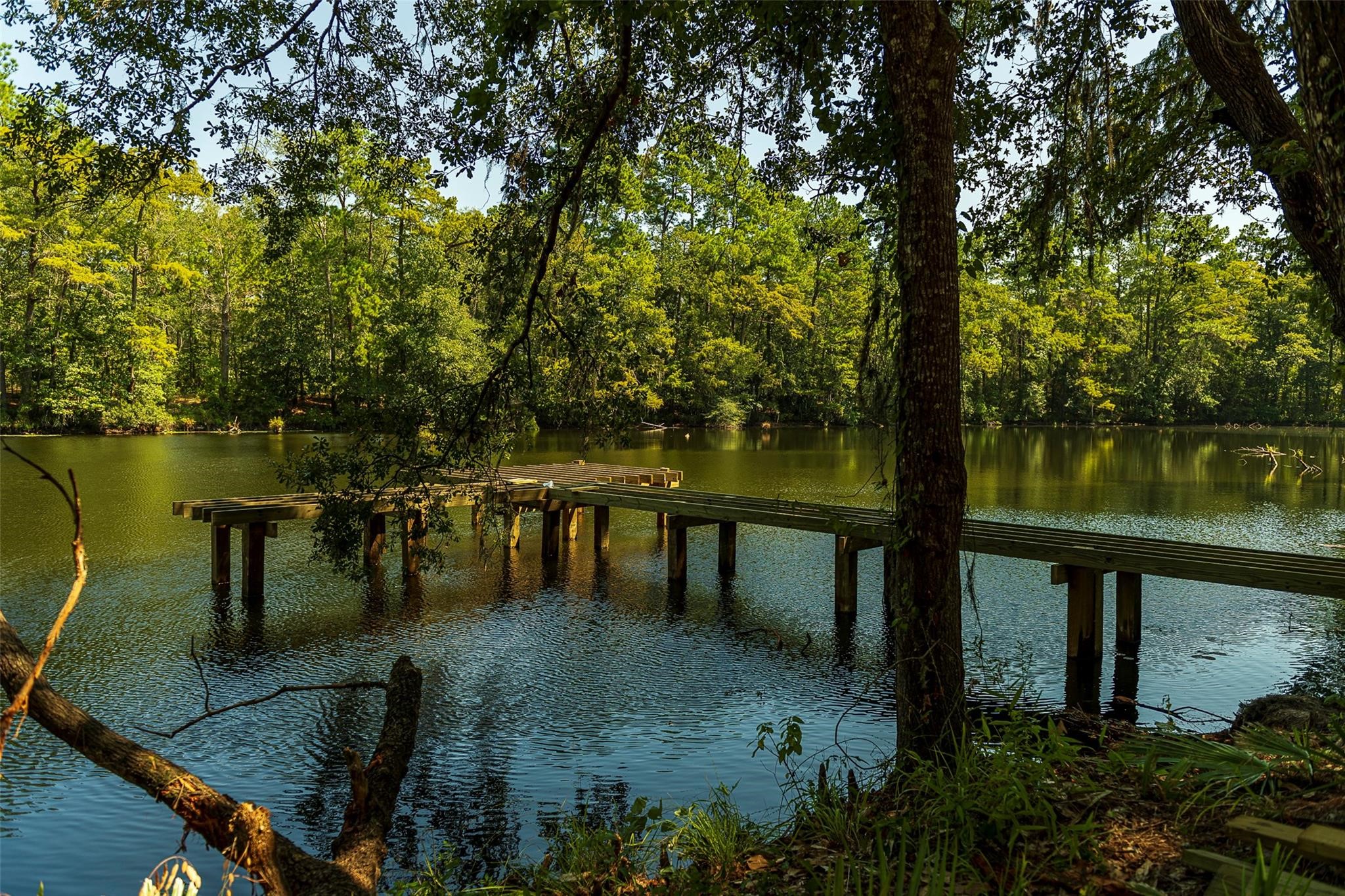 7551 Congress Trl Way Porter, TX 77365 - Photo 46 of 49 Enjoy peaceful moments at The Preserve—walking trails and lakeside views await.