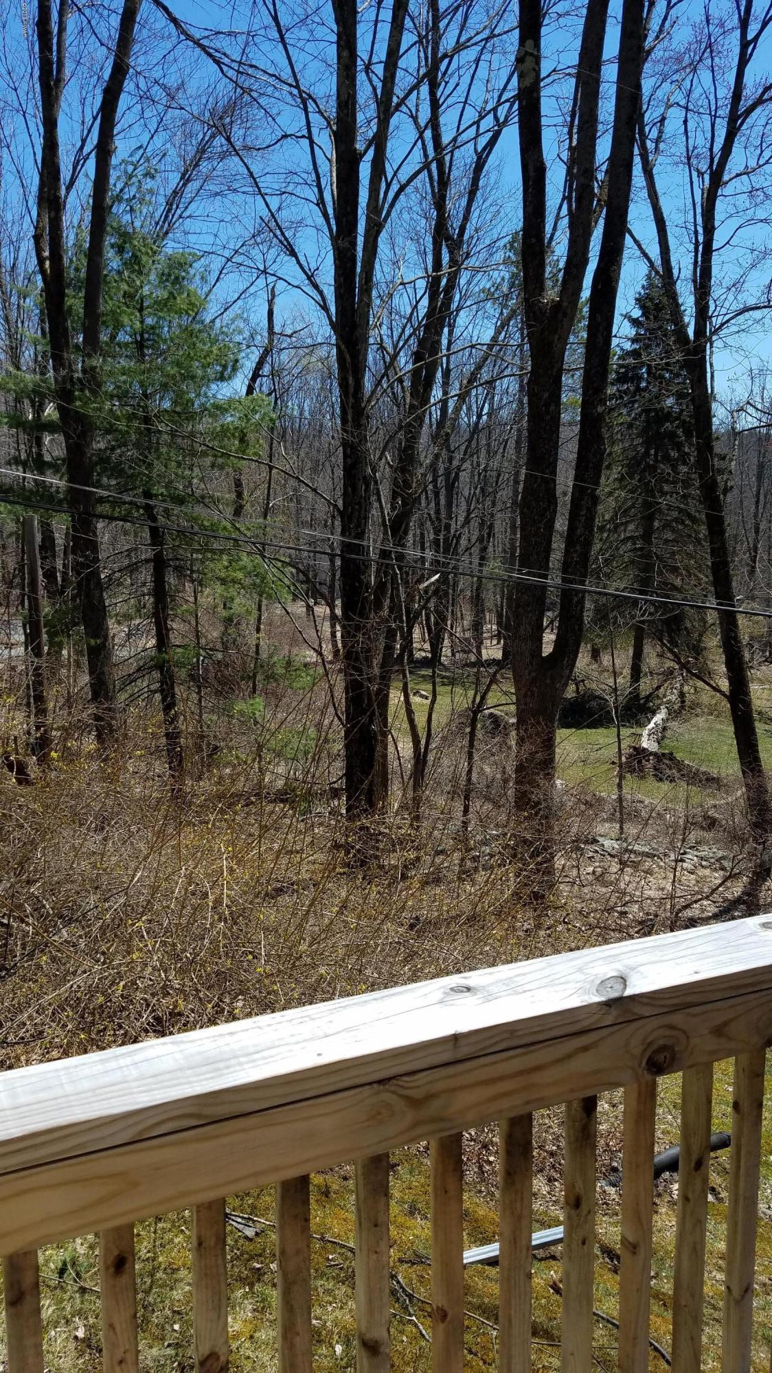 161 Lacawac Road Lake Ariel, PA 18436 - Photo 5 of 6