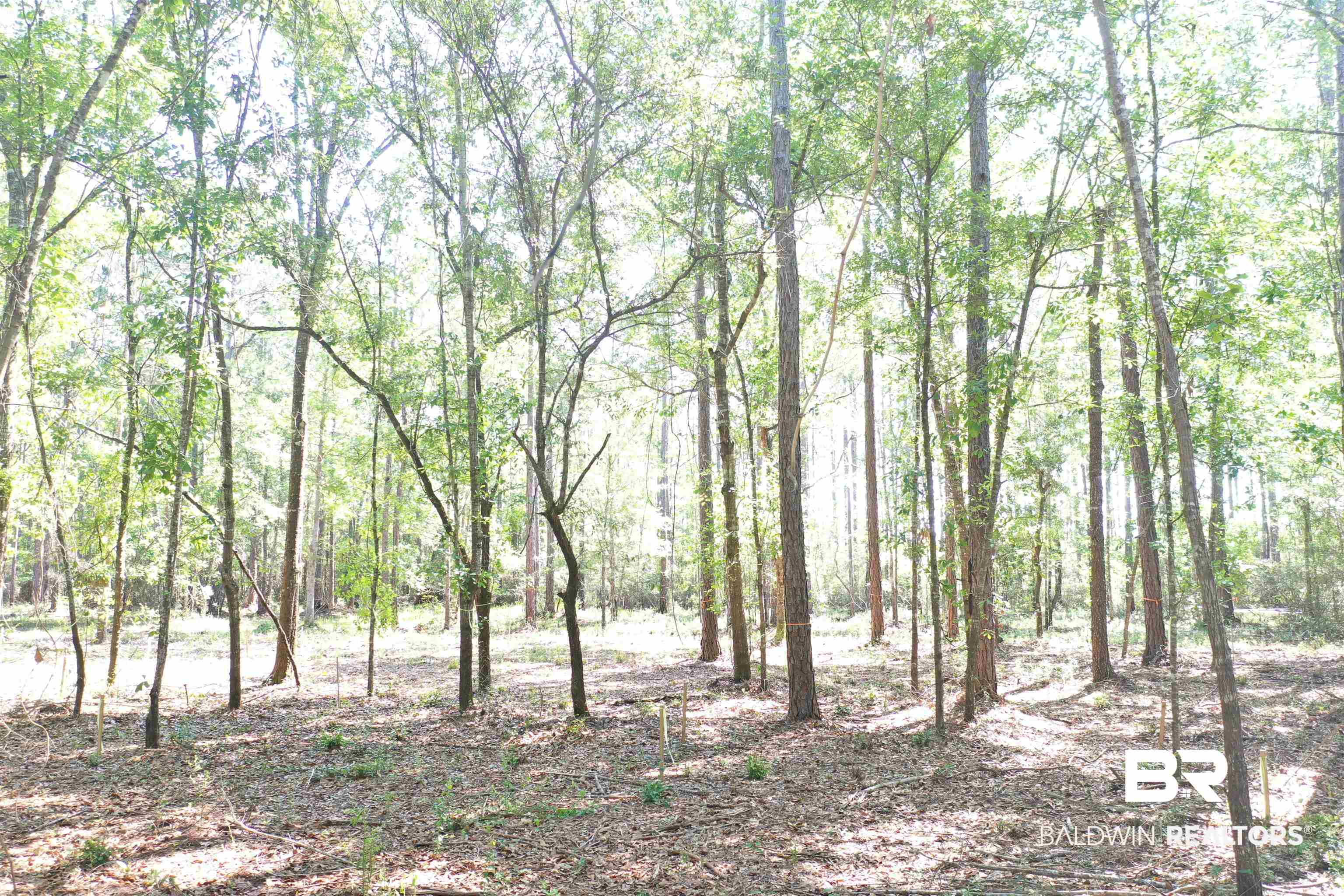 18695 Treasure Oaks Road Gulf Shores, AL 36542 - Photo 8 of 14 Both Lots