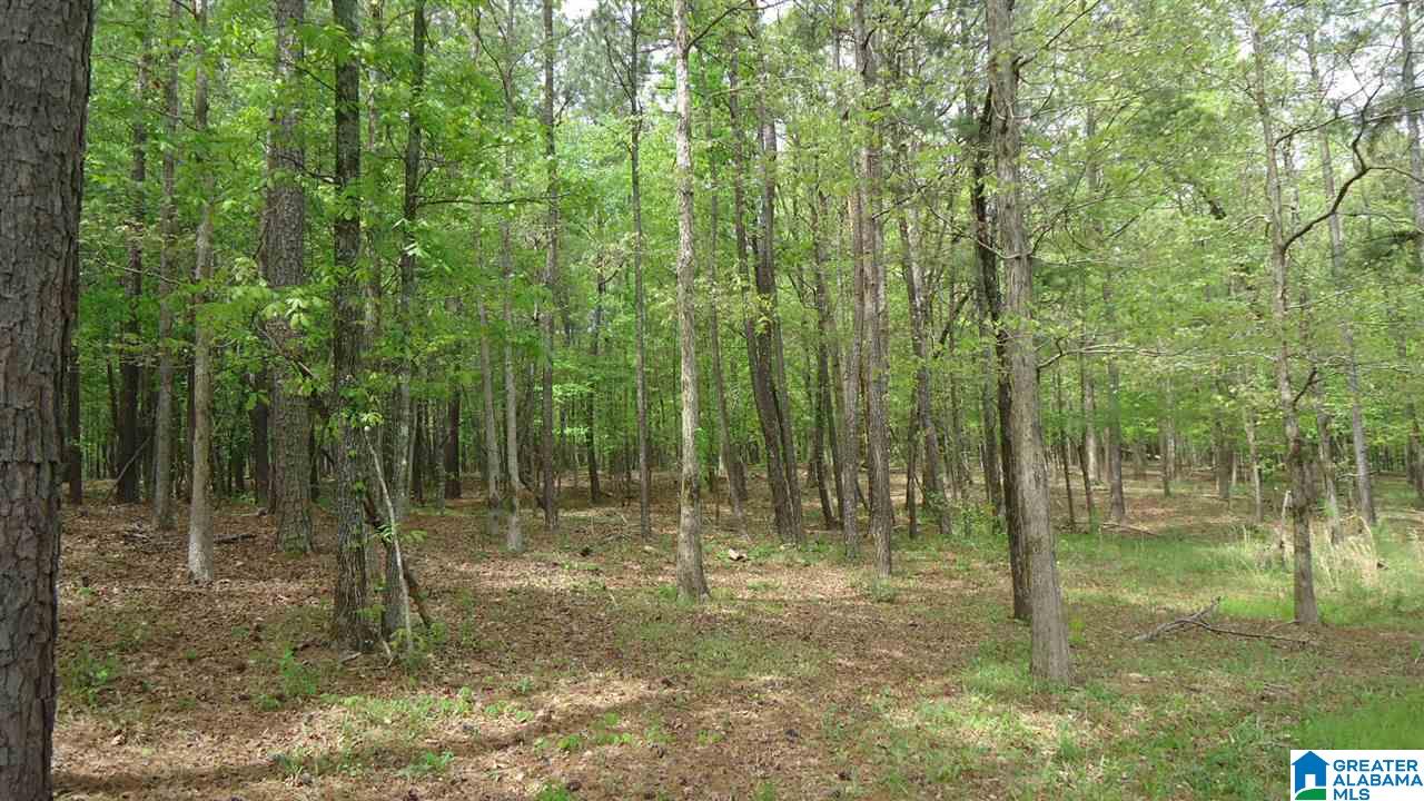 0 Mudd Street Ohatchee, AL 36271 - Photo 3 of 20