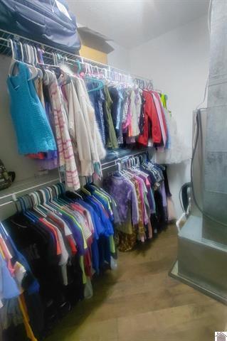 4795 Hopewell Road Mayfield, KY 42066 - Photo 25 of 36 walk-in closet