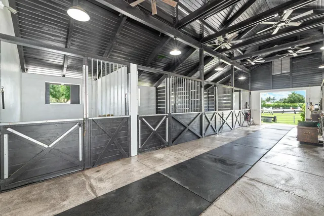 a view of a patio with lawn chairs potted plants and large tree