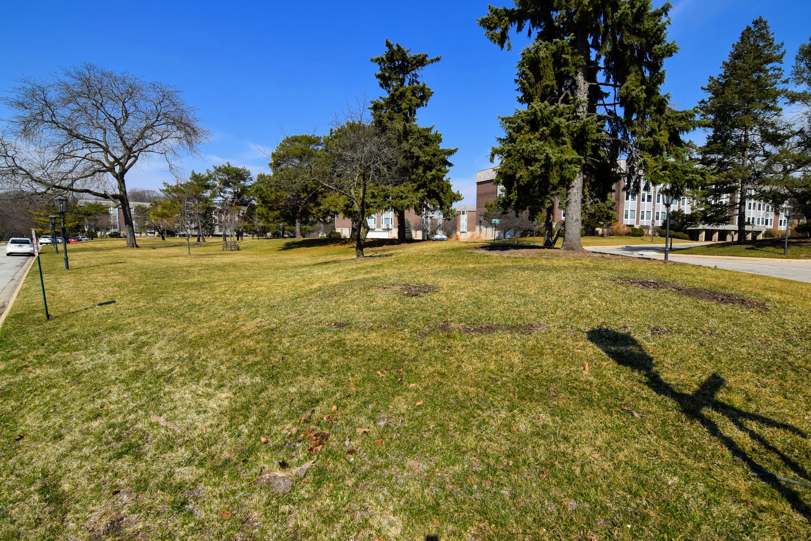 2400 Archbury Lane, Unit 2H Park Ridge, IL 60068 - Photo 21 of 26 a view of yard with swimming pool and trees