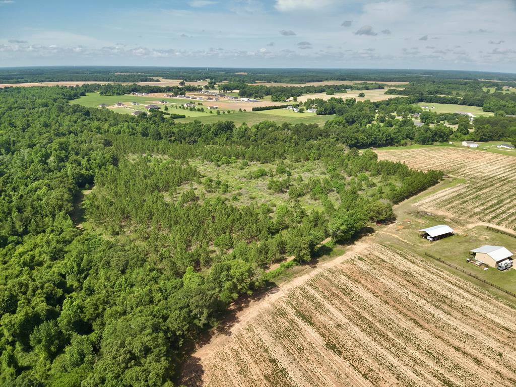 1243 Silcox Road Ashford, AL 36312 - Photo 83 of 92
