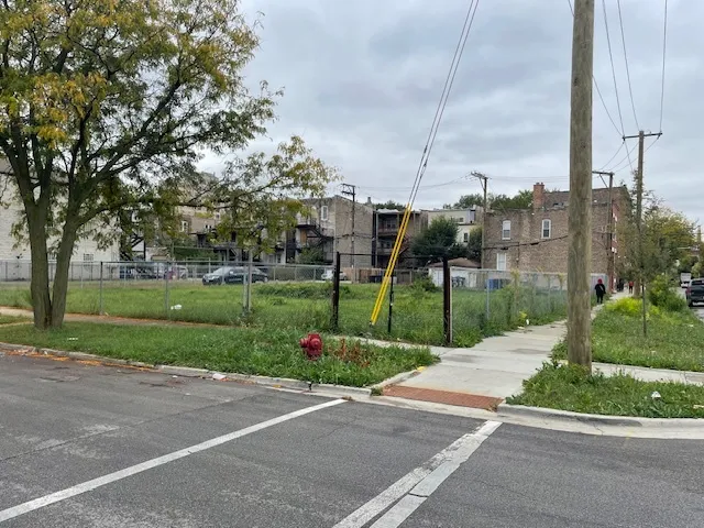 a view of a park with plants