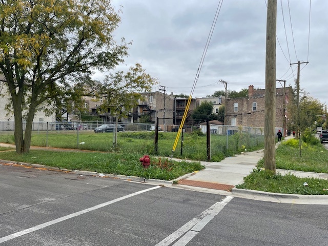 1102-1108 South Albany Avenue Chicago, IL 60612 - Photo 3 of 6 a view of a park with plants