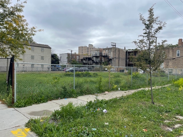 1102-1108 South Albany Avenue Chicago, IL 60612 - Photo 4 of 6 a view of a garden