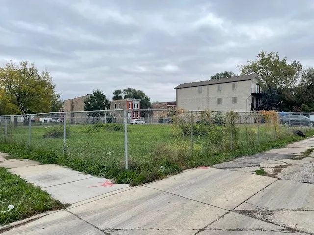 a view of a garden with pathway