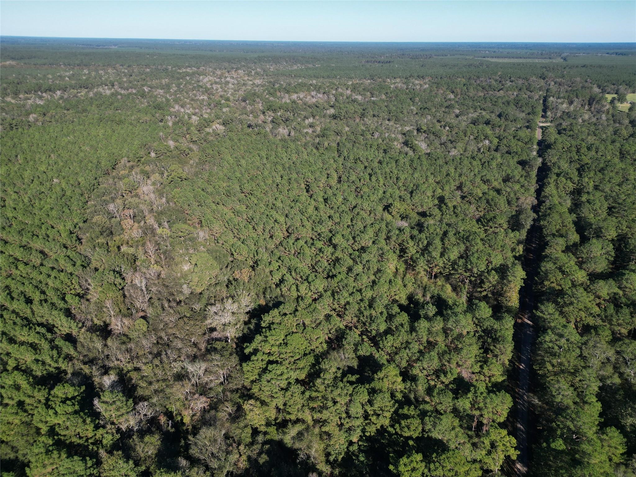 0 County Road 2125 Cleveland, TX 77327 - Photo 8 of 15