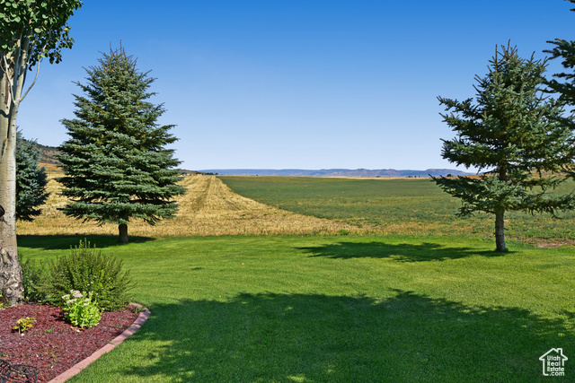 1500 Fish Creek Road Bancroft, ID 83217 - Photo 38 of 45 Surrounding community with a rural view, a lawn, and a mountain view
