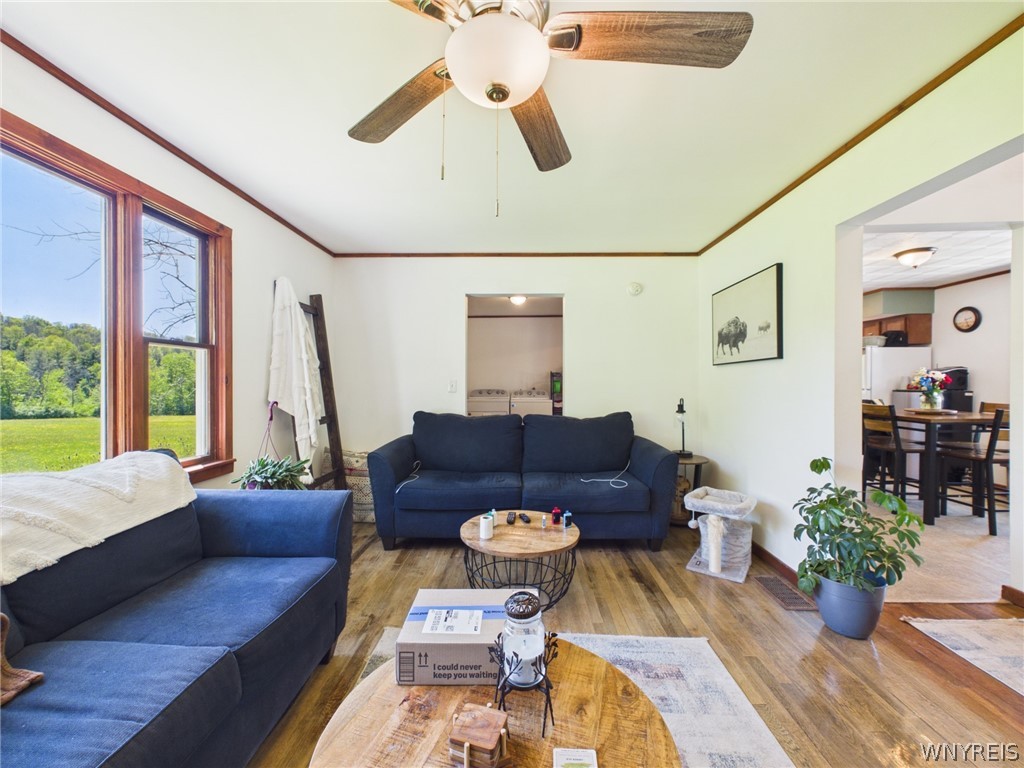 2619 State Rte 244 Belmont, NY 14813 - Photo 14 of 47